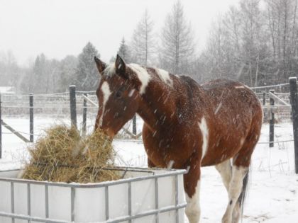 On mange pour se garder au chaud :)