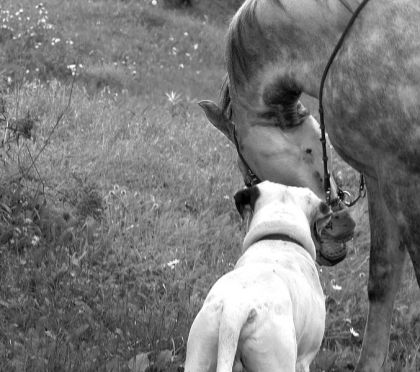 photo par Pareur