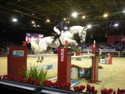 gucci masters- salon du cheval 2012