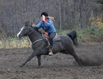 LOL Tu sais que t'as entièrement confiance en ton cheval & qu'il...