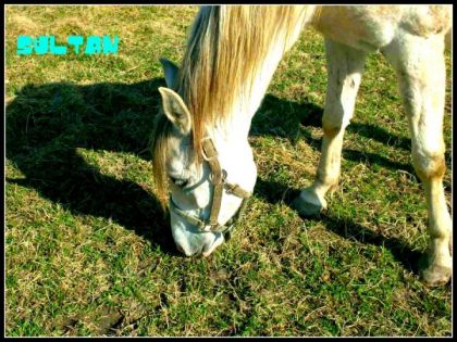 photo par laurieM
