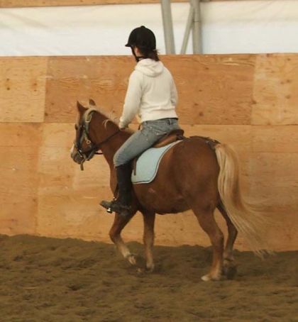 moi et mon poney