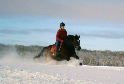 Galop dans neige !