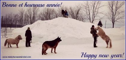 Bonne année à tous!