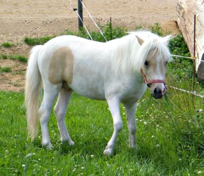 Le Kid mon gros Stud :D