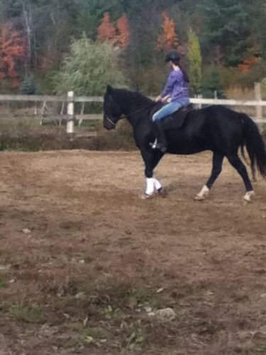 photo par Manitou