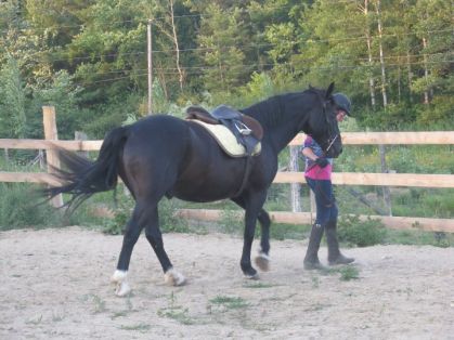 photo par Manitou
