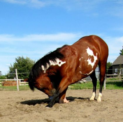 Je m'ennuie de l'été et de mon Vasko <3 
