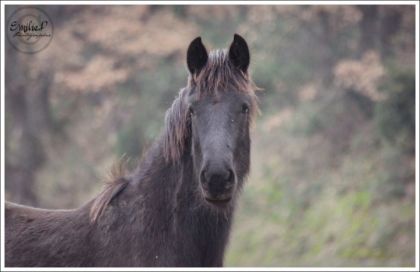 Ma perle noire <3