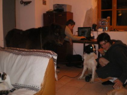 foto de famille