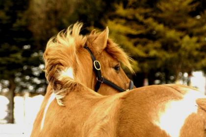 photo par torino911