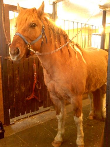 photo par torino911