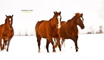 photo par 3allures Photo que j'ai pris cette semaine :)