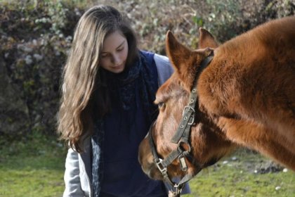 Neck, le meilleur des poneys.