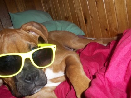 il prends ca bein relaxe :)