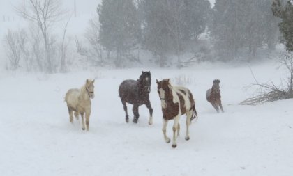allez Go Go la gang... on se réchauffe!