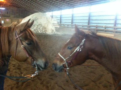 photo par Woody Pepto a gauche et Billy a droite :)