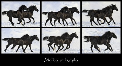 Moïka et Kayla, toute synchro! :-)