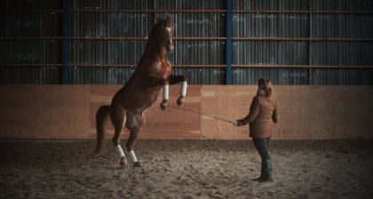 photo par Gipsia Gipsy et moi dans notre Manège intérieur! :-)