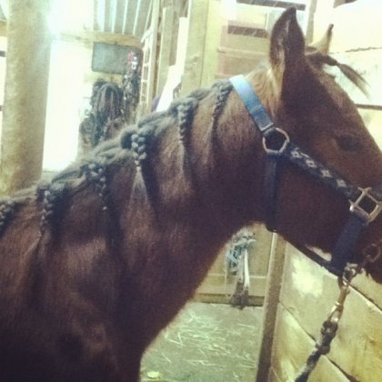 Premiere tresses pour Obrien :) <3