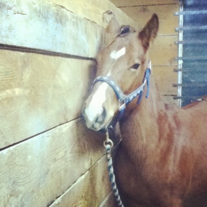 Obrien la tite face <3 :)
