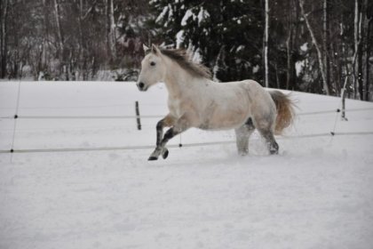 photo par queen<3