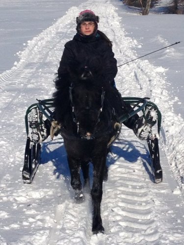 Aller on suis la sleigh devant nous Black :) Que j'aime ce poney...