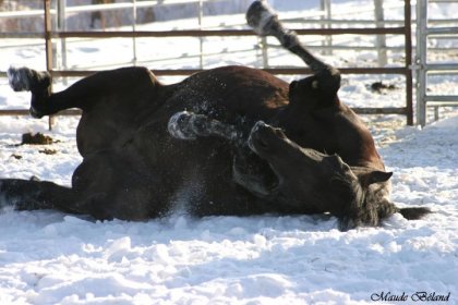 Promesse qui profite des joies de l'hiver :)