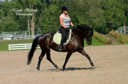 Promesse dressage AERL été 2012