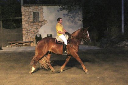 souvenir de ma saison de spectacle de l'été dernier, avec un cob...