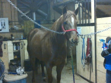 photo par looky144