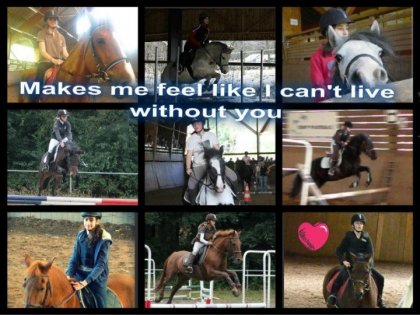 Mes potes du cheval <3 Les meilleures