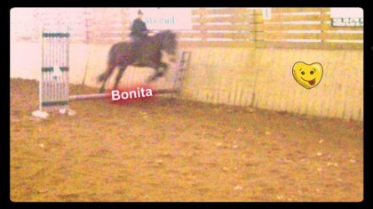 Moi & Bonita saut a cru