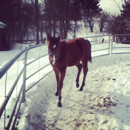 Dehors mon ptit bébé <3 :)