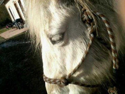 Ma Lisou d'amour &#9829; (^.^)