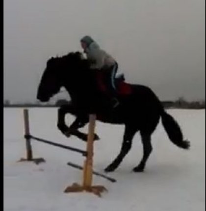 2pieds avec mon loup :) Quand on veut, on peut !