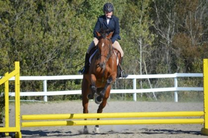 moi et ma ptite giraffe a nos debut de saut :) premiere...