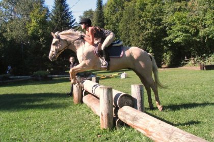 Saut d'obstacle solide sur Sunny en 2011