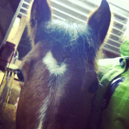 Belle face <3