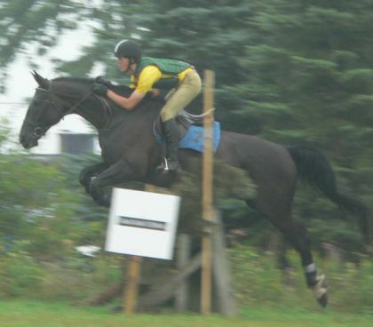 Mon ami Étienne et son cheval Noah en cross. 17.2 mains! Toute...