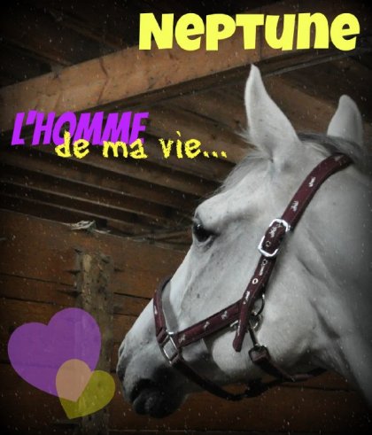 Mon bébé