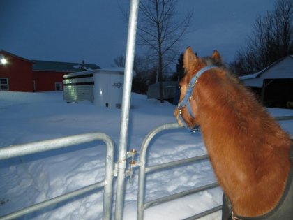 photo par MariePierR