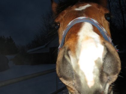 Gros nez <3