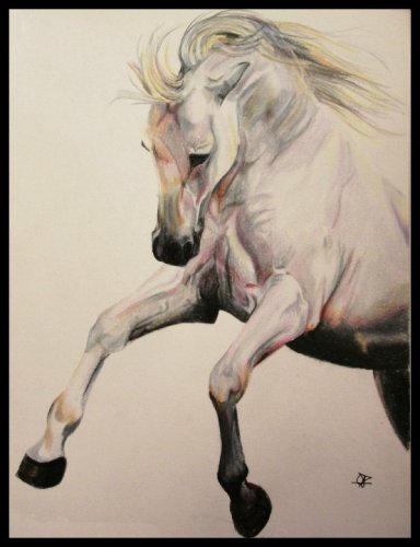 Le voila terminer! apres plusieur mois sans avoir dessiner :)