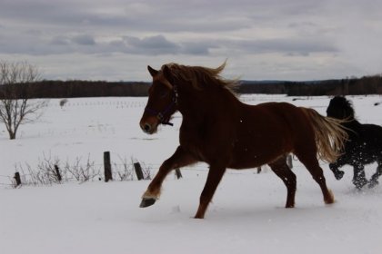 Molly :)