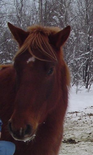 ma GinGEr prOspEcT!