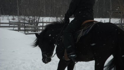 Perceval