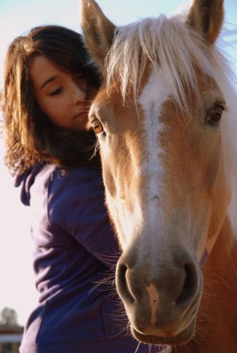 « On n'a pas le cheval que l'on veut, mais plutôt celui que l'on...