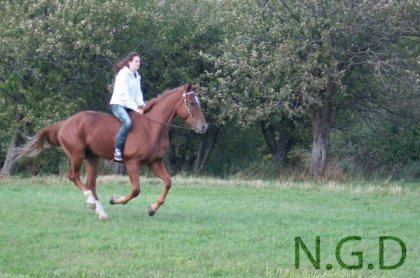 photo par Tricia12