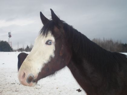 C'est salissant su blanc....